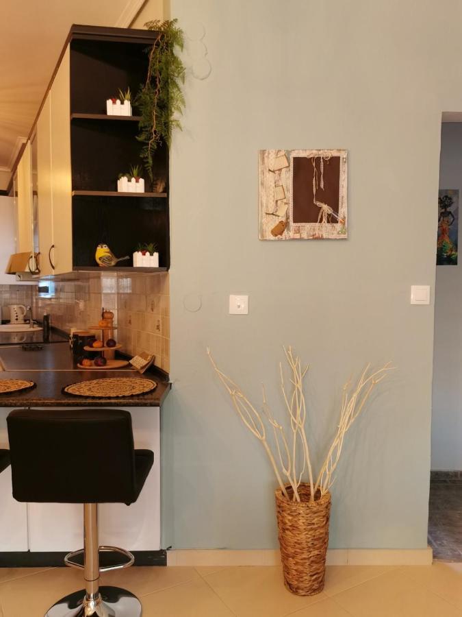 Theia Analipsi Central Apartment Kateríni Eksteriør bilde
